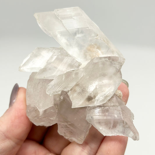 Nica Selenite With Water En Hydro 🫧 #6 From Nica Mine, Chihuahua, Mexico 🇲🇽