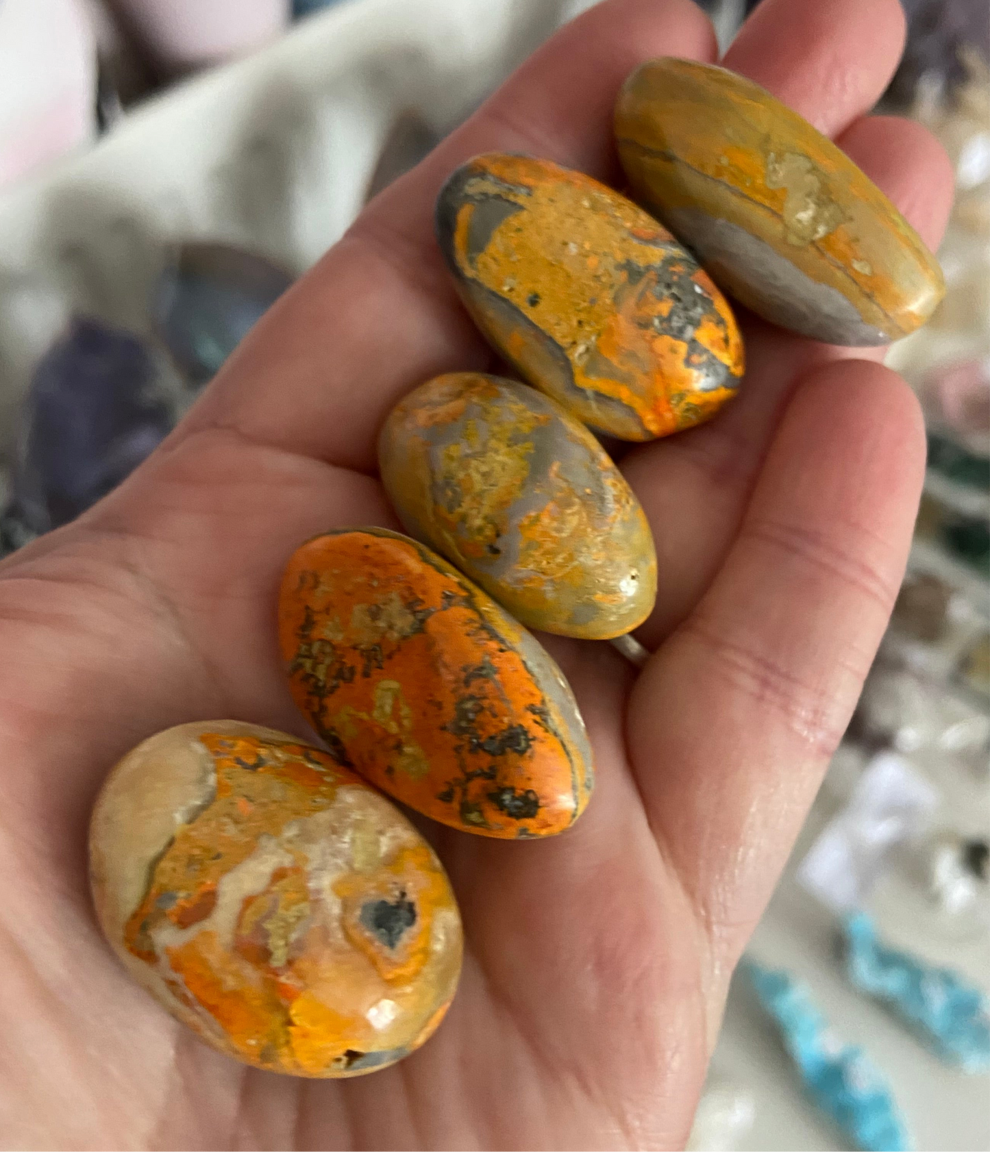 Rare Orbicular Bumblebee Jasper Tumbles From Mount Papandayan, West Java, Indonesia 🇮🇩