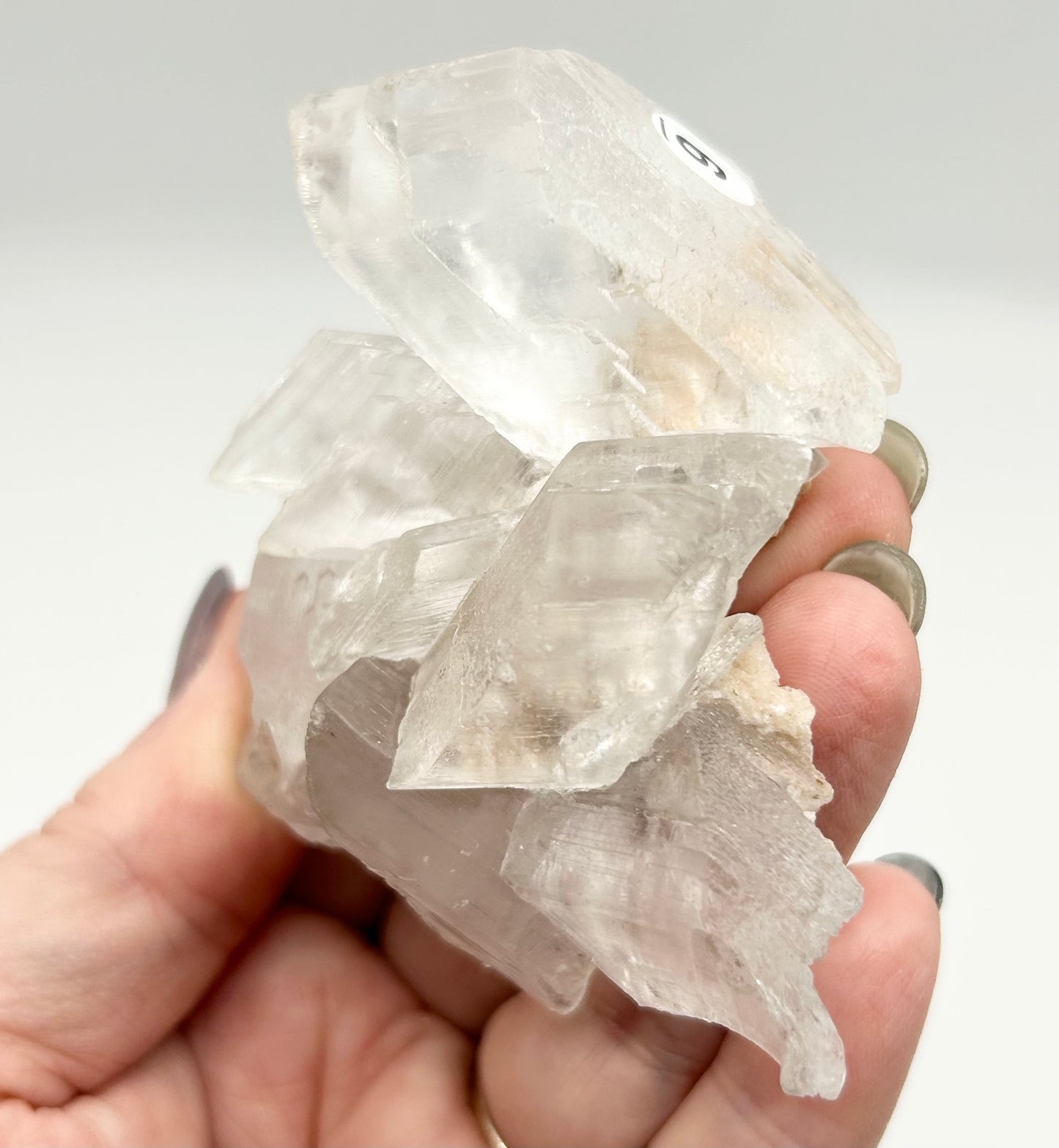 Nica Selenite With Water En Hydro 🫧 #6 From Nica Mine, Chihuahua, Mexico 🇲🇽