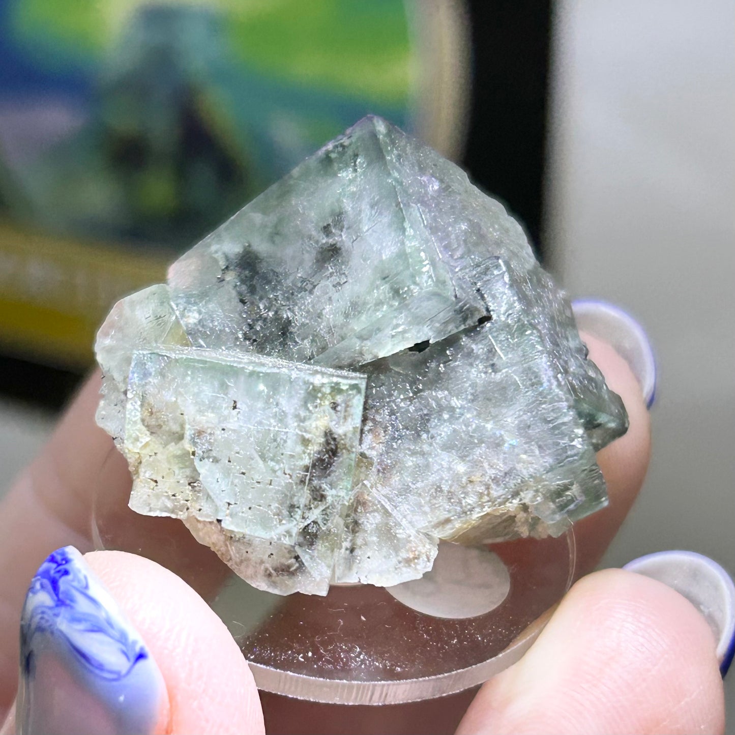 Poison Ivy Green-Yellow Fluorite Single Cubes & Clusters Small From Poison Ivy Pocket, Lady Annabella Mine, Weardale, U.K. 🇬🇧 Pick Your Specimen