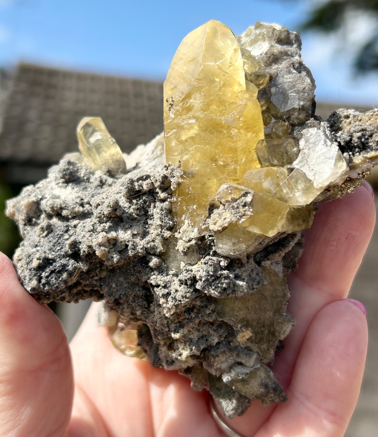 Collectors #12 Fletcher 8 Point Optical Calcite With Marcasite Base Large From Fletcher Mine, Reynolds County, Missouri, USA 🇺🇸