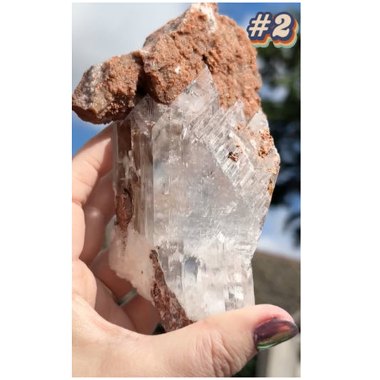 Selenite #2 XL Statement Piece Specimen In Display Box From Bermejillo, Durango, Mexico 🇲🇽