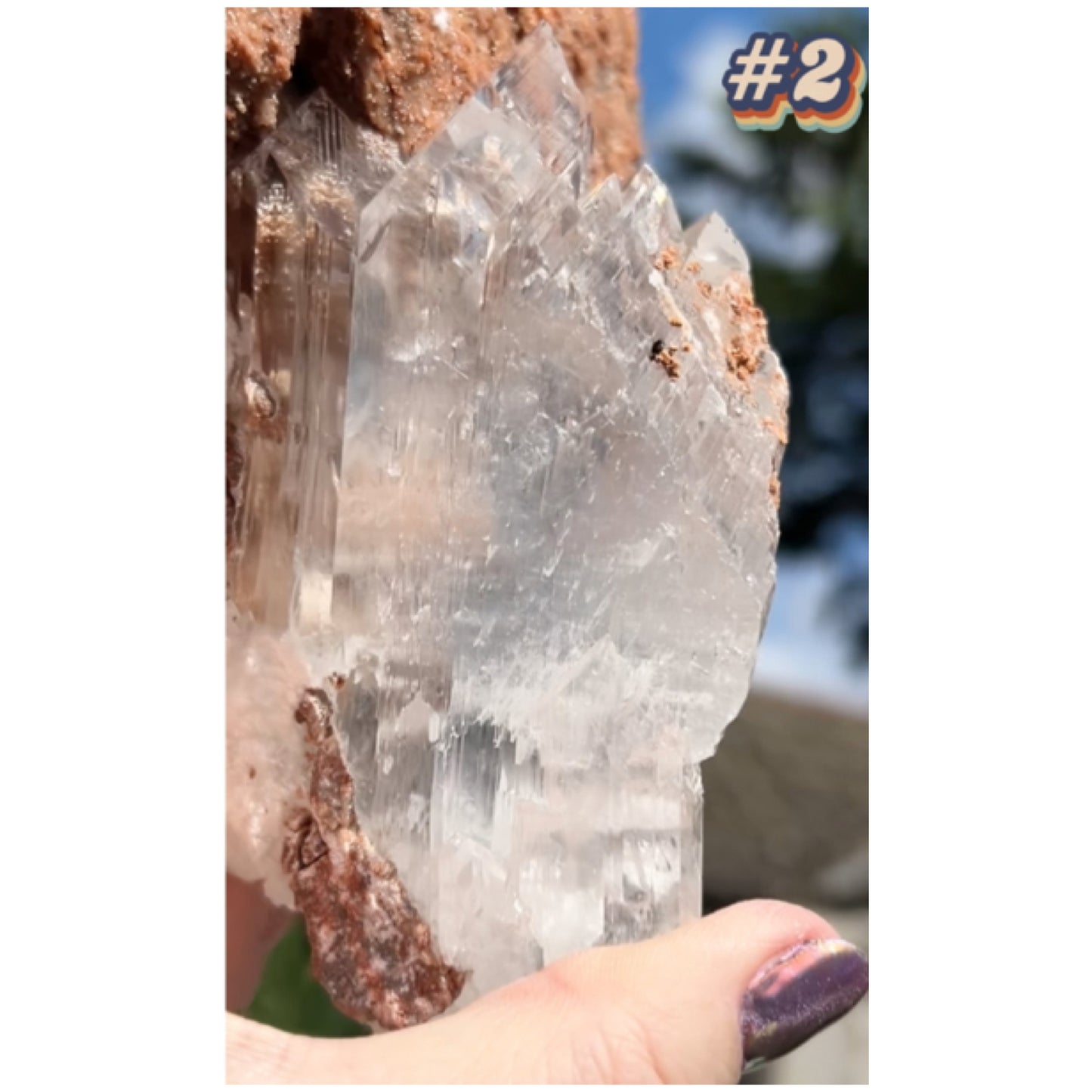 Selenite #2 XL Statement Piece Specimen In Display Box From Bermejillo, Durango, Mexico 🇲🇽