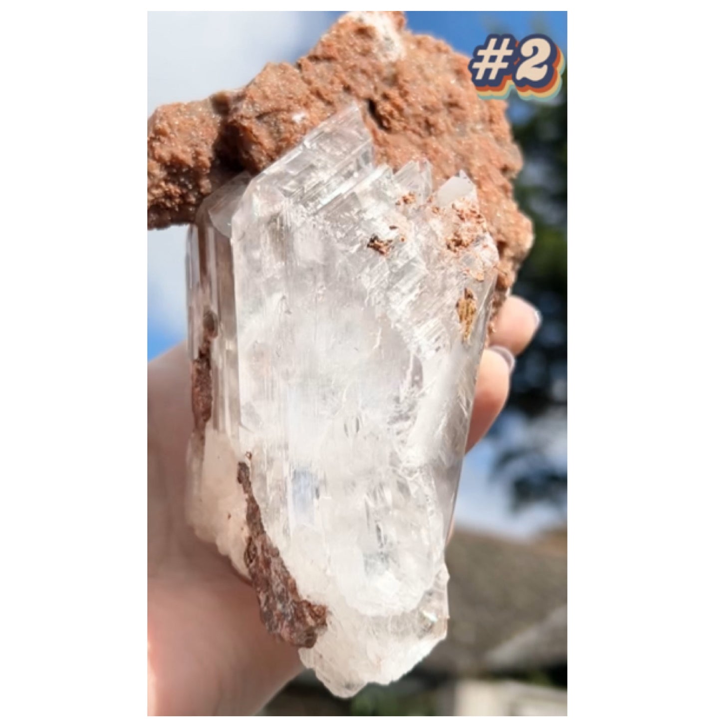 Selenite #2 XL Statement Piece Specimen In Display Box From Bermejillo, Durango, Mexico 🇲🇽