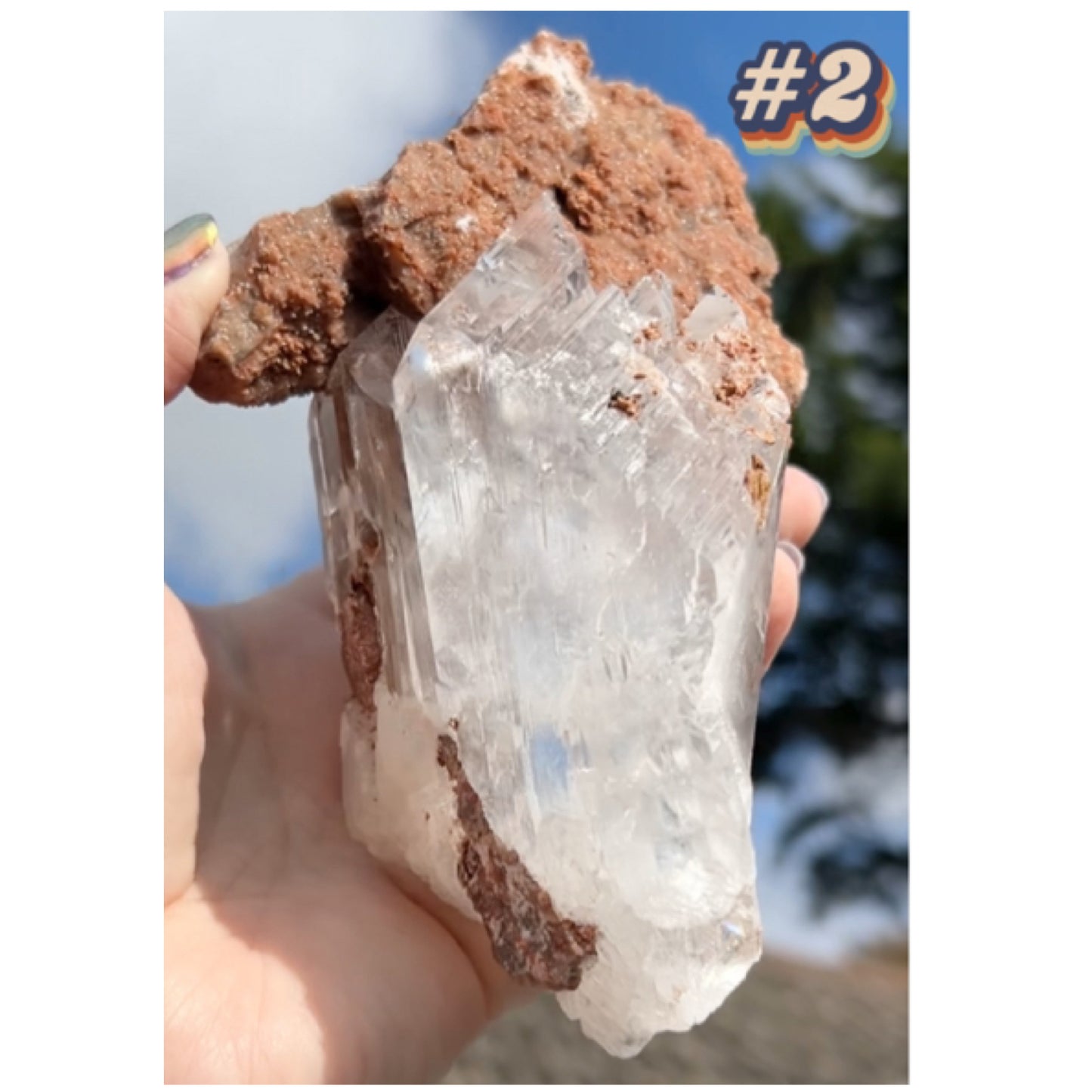 Selenite #2 XL Statement Piece Specimen In Display Box From Bermejillo, Durango, Mexico 🇲🇽