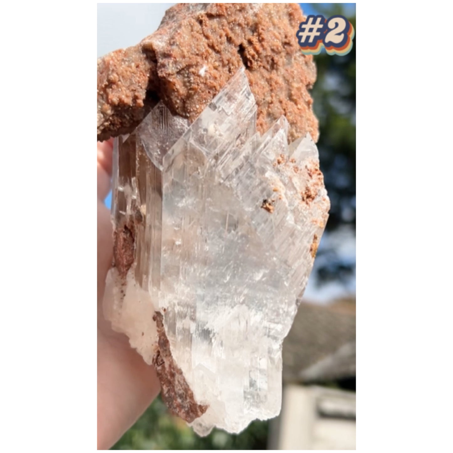 Selenite #2 XL Statement Piece Specimen In Display Box From Bermejillo, Durango, Mexico 🇲🇽