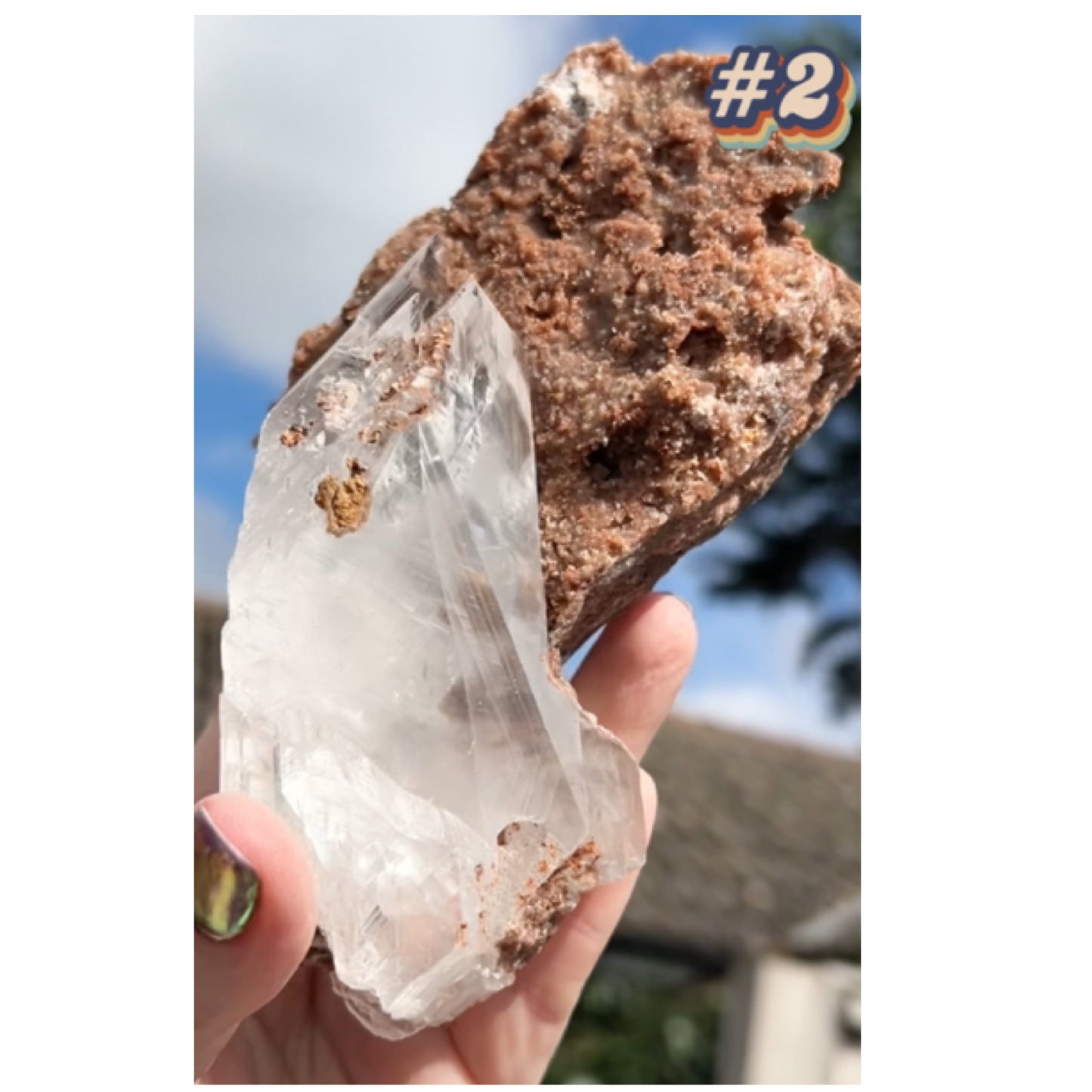 Selenite #2 XL Statement Piece Specimen In Display Box From Bermejillo, Durango, Mexico 🇲🇽