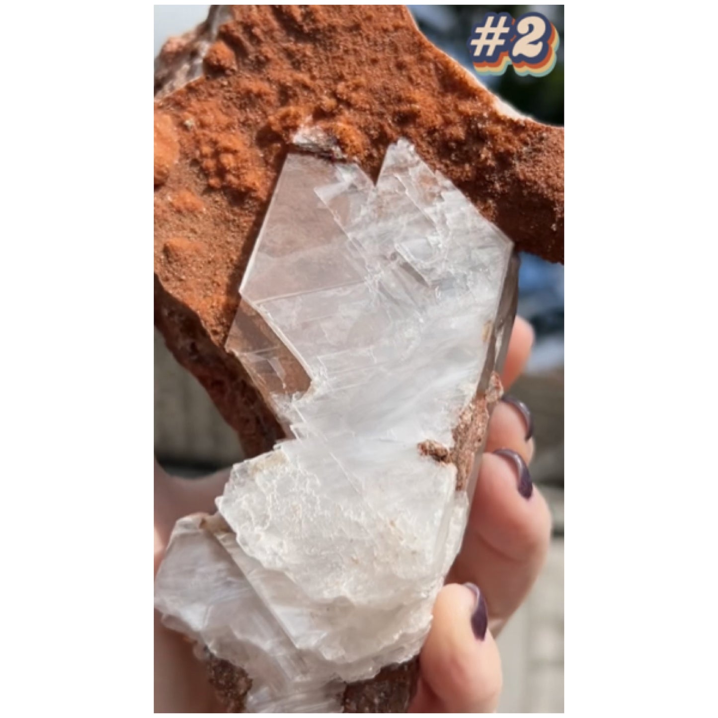 Selenite #2 XL Statement Piece Specimen In Display Box From Bermejillo, Durango, Mexico 🇲🇽