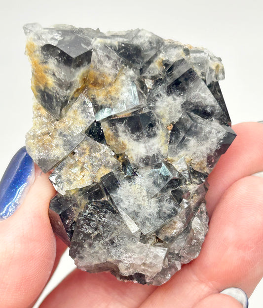 #1 Yum Yum Navy/ Black Fluorite From YumYum Pocket, Sutcliffe Vein, Diana Maria Mine, Weardale, County Durham, U.K.