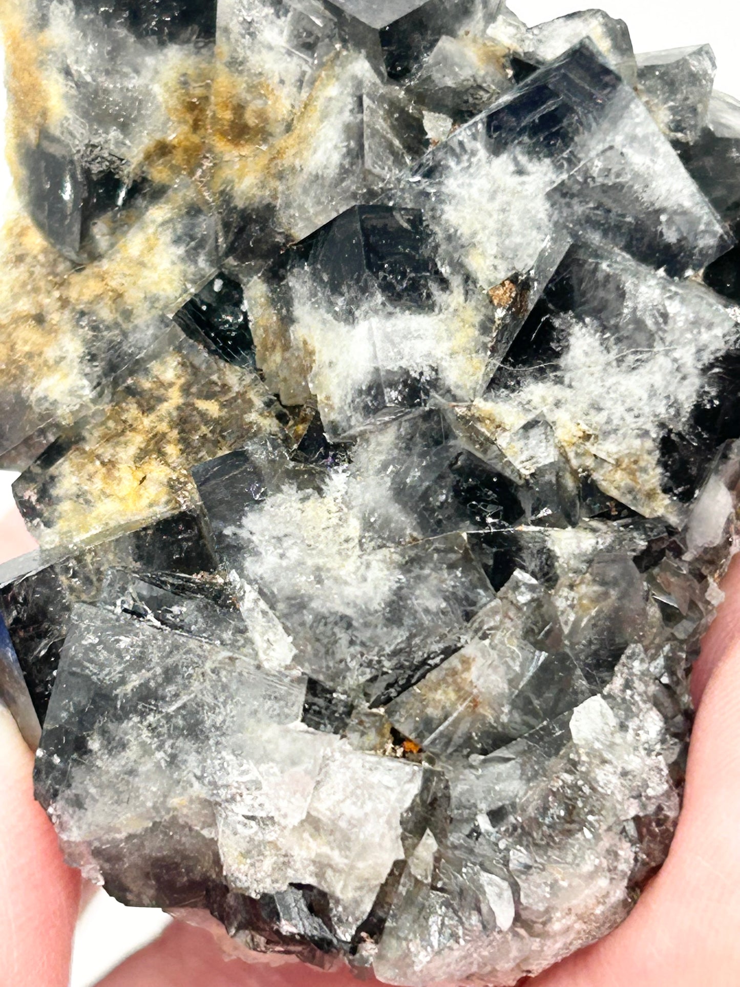 #1 Yum Yum Navy/ Black Fluorite From YumYum Pocket, Sutcliffe Vein, Diana Maria Mine, Weardale, County Durham, U.K.