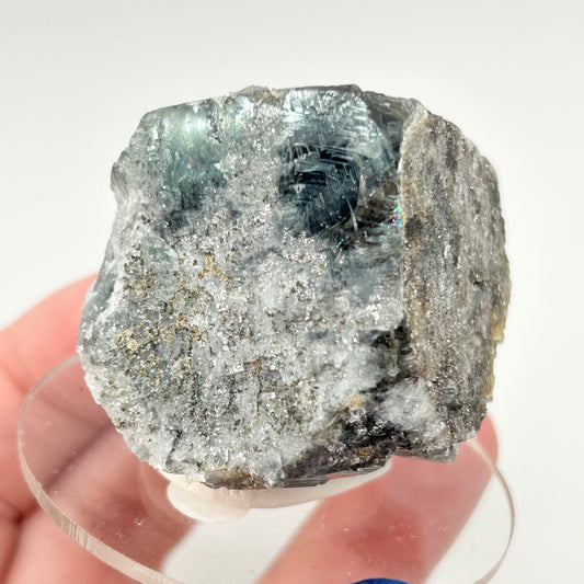 #2 Yum Yum Navy/ Black Fluorite From YumYum Pocket, Sutcliffe Vein, Diana Maria Mine, Weardale, County Durham, U.K.