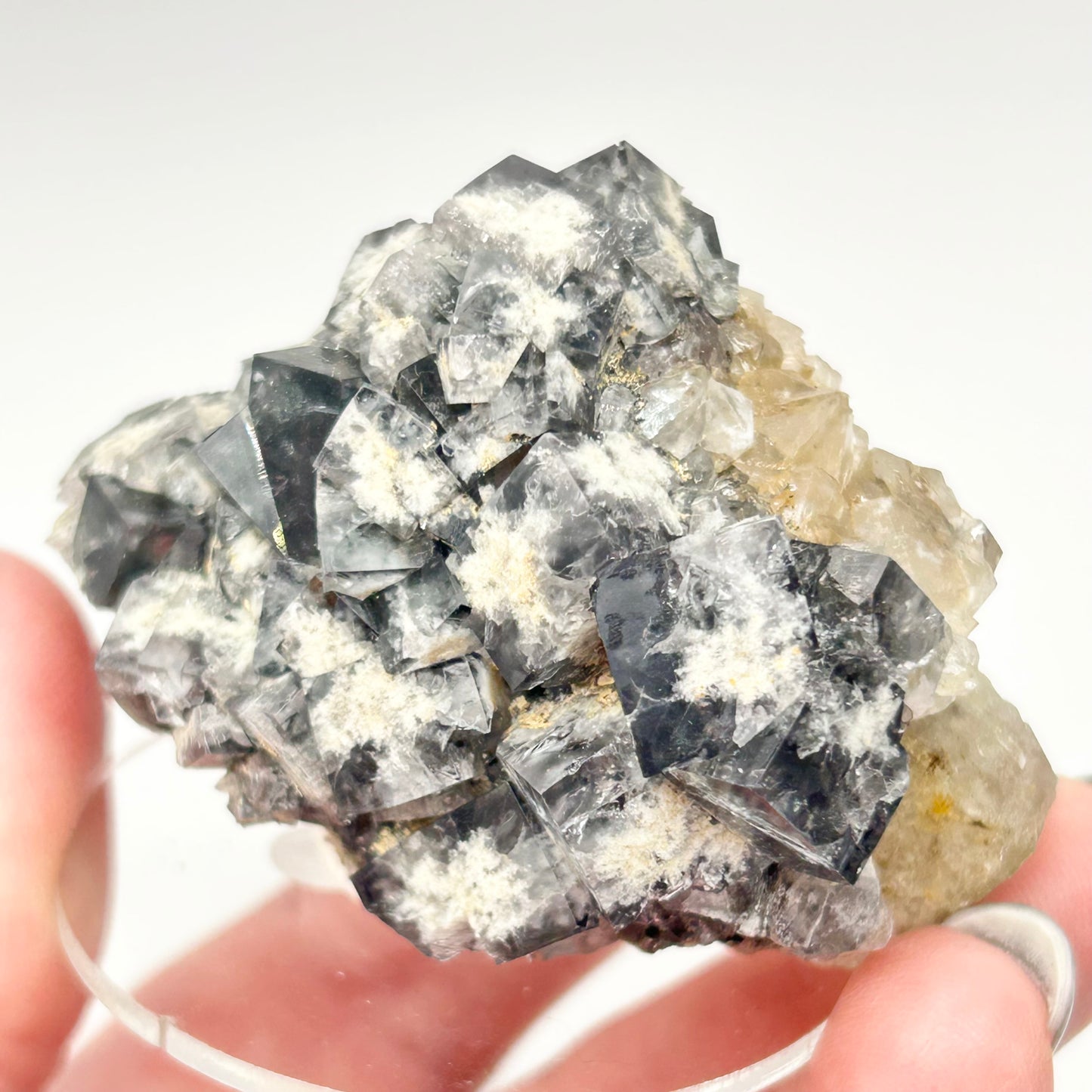 #4 Yum Yum Navy/ Black Fluorite From YumYum Pocket, Sutcliffe Vein, Diana Maria Mine, Weardale, County Durham, U.K.