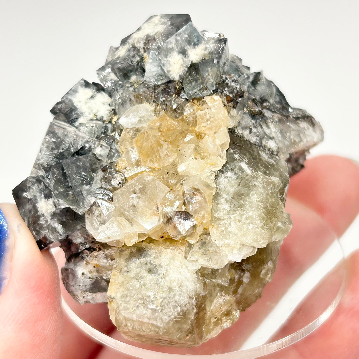 #4 Yum Yum Navy/ Black Fluorite From YumYum Pocket, Sutcliffe Vein, Diana Maria Mine, Weardale, County Durham, U.K.