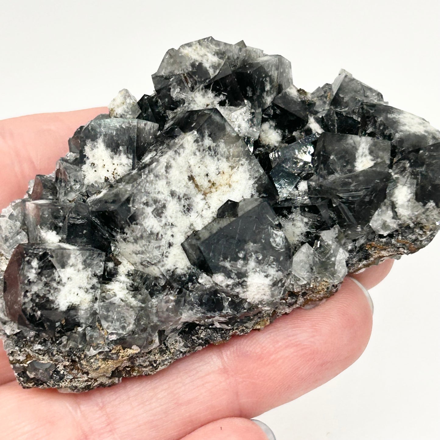 #5 Yum Yum Navy/ Black Fluorite From YumYum Pocket, Sutcliffe Vein, Diana Maria Mine, Weardale, County Durham, U.K.