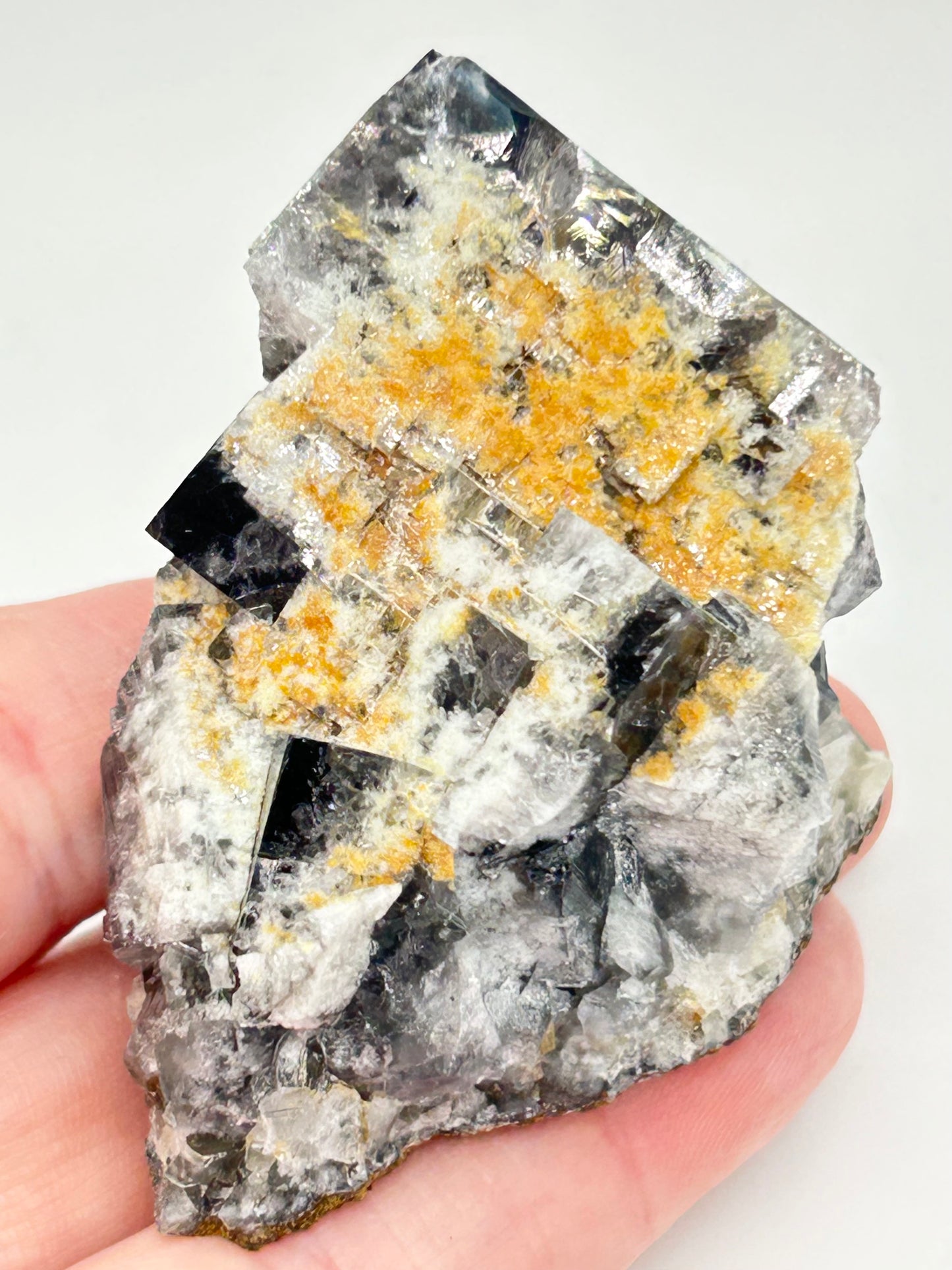 #10 Yum Yum Navy/ Black Fluorite From YumYum Pocket, Sutcliffe Vein, Diana Maria Mine, Weardale, County Durham, U.K