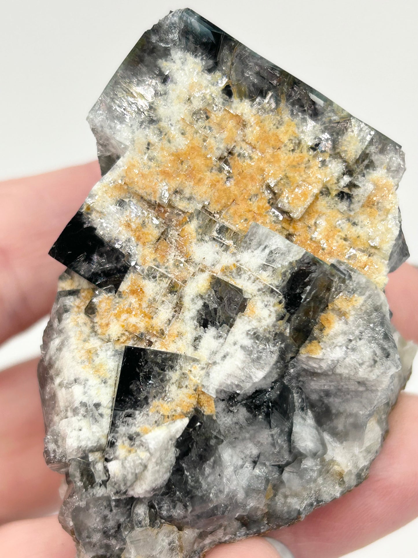 #10 Yum Yum Navy/ Black Fluorite From YumYum Pocket, Sutcliffe Vein, Diana Maria Mine, Weardale, County Durham, U.K