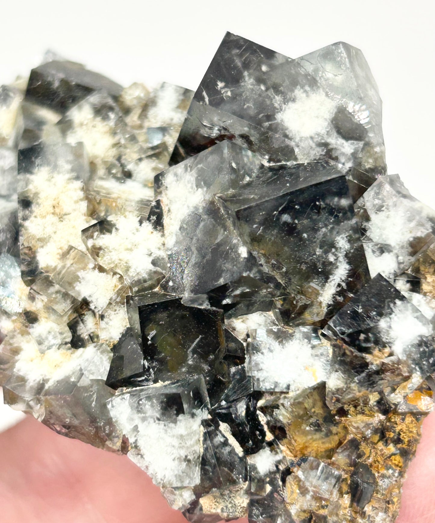 #18 Yum Yum Navy/ Black Fluorite From YumYum Pocket, Sutcliffe Vein, Diana Maria Mine, Weardale, County Durham, U.K