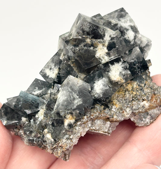 #14 Yum Yum Navy/ Black Fluorite From YumYum Pocket, Sutcliffe Vein, Diana Maria Mine, Weardale, County Durham, U.K.