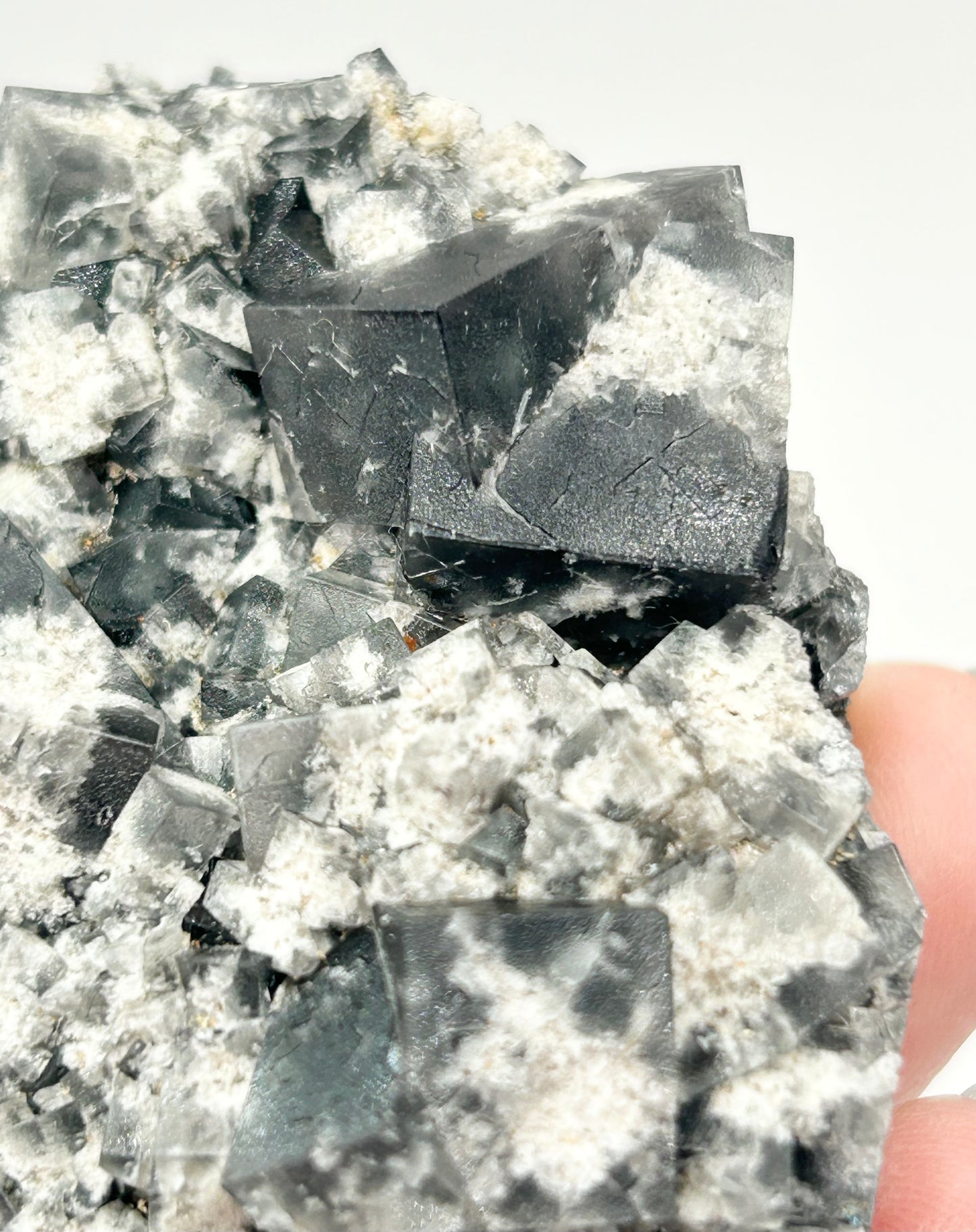 #15 Yum Yum Navy/ Black Fluorite From YumYum Pocket, Sutcliffe Vein, Diana Maria Mine, Weardale, County Durham, U.K.