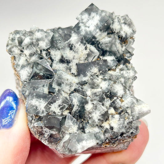 #17 Yum Yum Navy/ Black Fluorite From YumYum Pocket, Sutcliffe Vein, Diana Maria Mine, Weardale, County Durham, U.K.