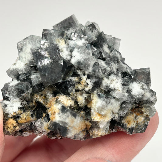 #28 Yum Yum Navy/ Black Fluorite From YumYum Pocket, Sutcliffe Vein, Diana Maria Mine, Weardale, County Durham, U.K.