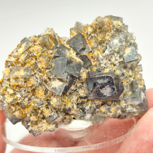 #21 Yum Yum Navy/ Black Fluorite From YumYum Pocket, Sutcliffe Vein, Diana Maria Mine, Weardale, County Durham, U.K.