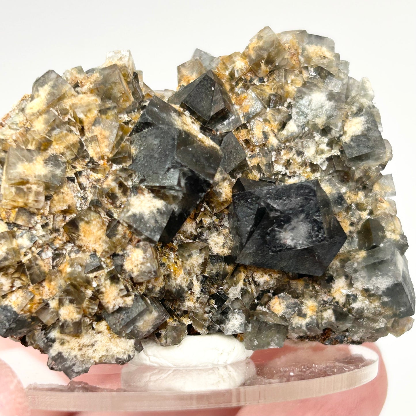 #21 Yum Yum Navy/ Black Fluorite From YumYum Pocket, Sutcliffe Vein, Diana Maria Mine, Weardale, County Durham, U.K.