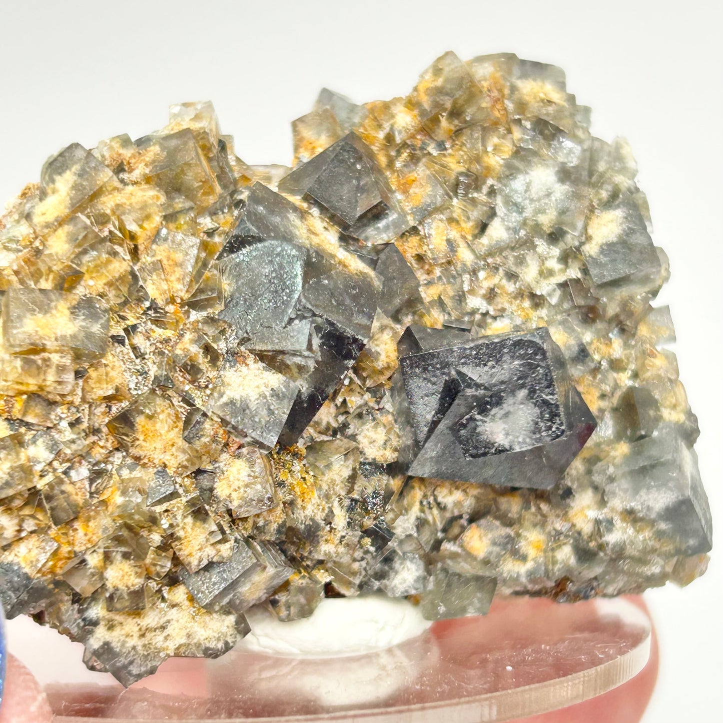 #21 Yum Yum Navy/ Black Fluorite From YumYum Pocket, Sutcliffe Vein, Diana Maria Mine, Weardale, County Durham, U.K.