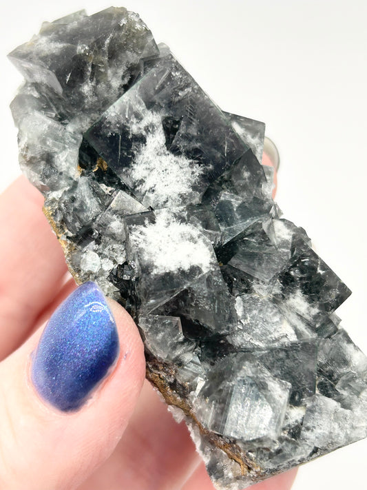 #25 Yum Yum Navy/ Black Fluorite From YumYum Pocket, Sutcliffe Vein, Diana Maria Mine, Weardale, County Durham, U.K.