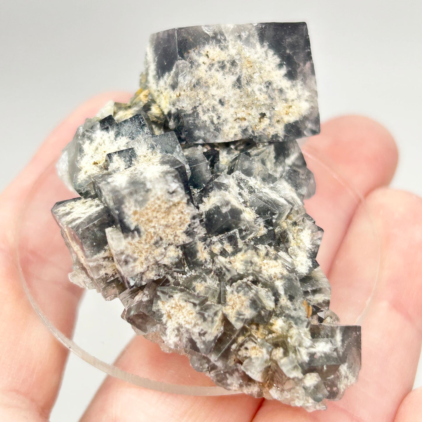 #13 Yum Yum Navy/ Black Fluorite From YumYum Pocket, Sutcliffe Vein, Diana Maria Mine, Weardale, County Durham, U.K.