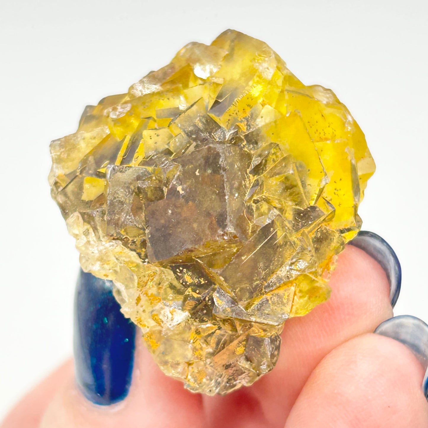 #3 Honey 🍯 Pocket Yellow Fluorite From Okorusu, Namibia 🇳🇦