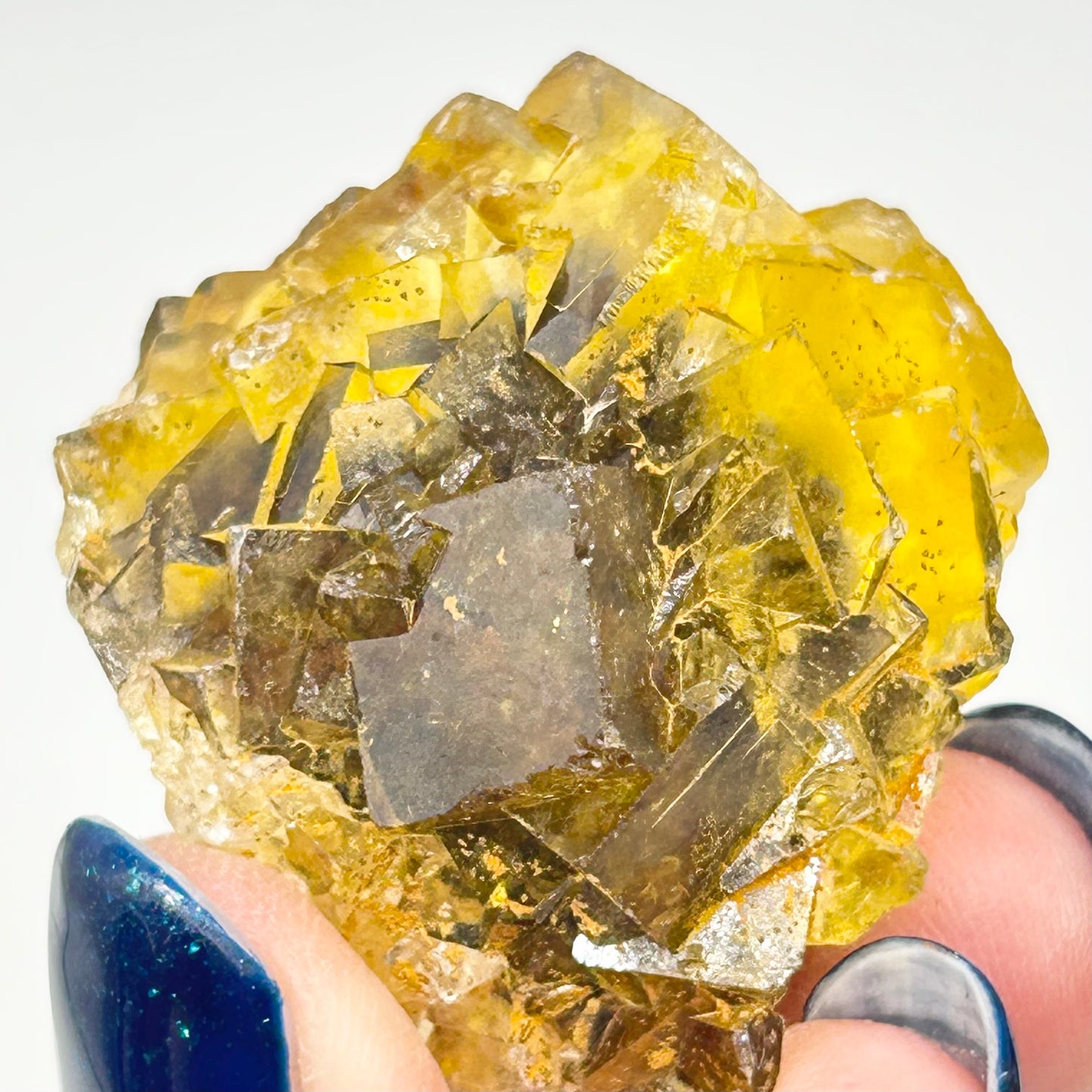 #3 Honey 🍯 Pocket Yellow Fluorite From Okorusu, Namibia 🇳🇦