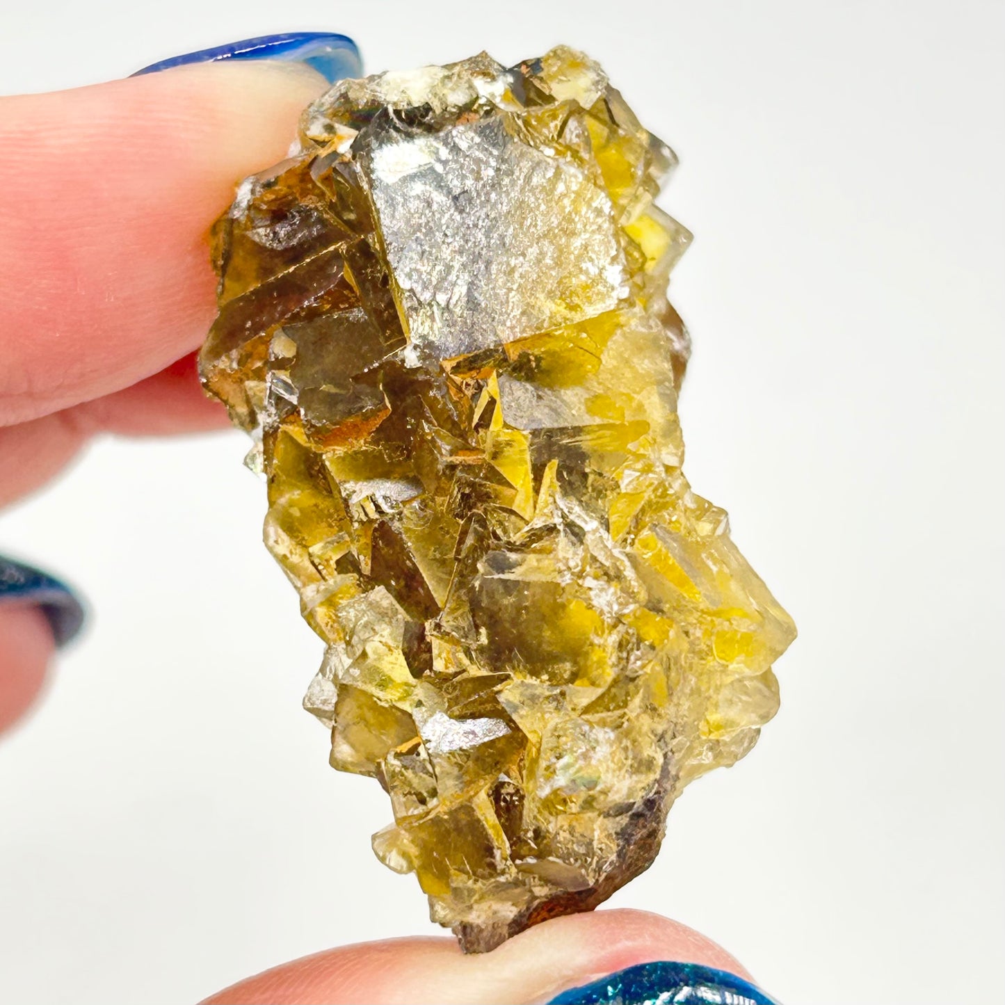 #4 Honey 🍯 Pocket Yellow Fluorite From Okorusu, Namibia 🇳🇦