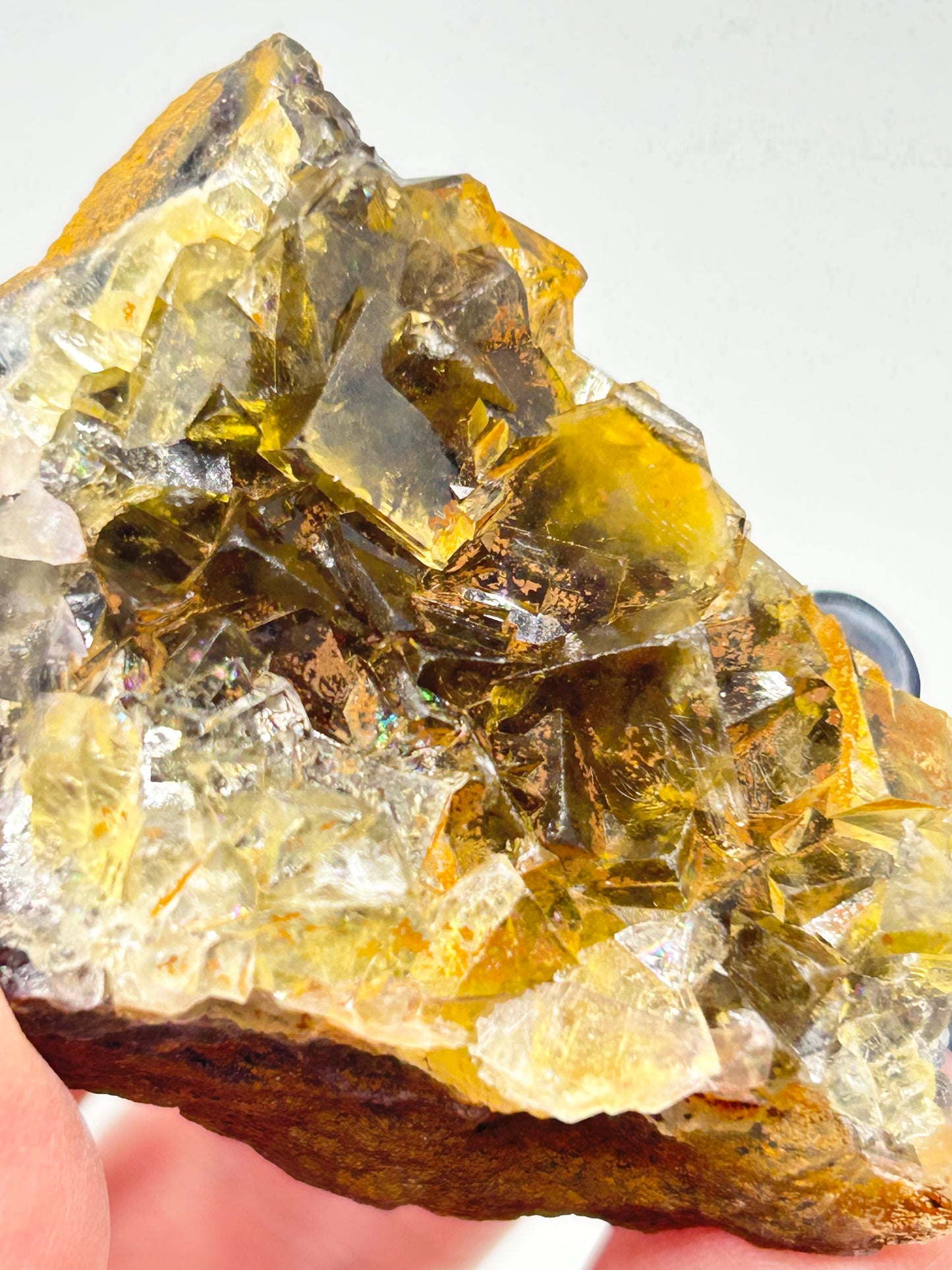 #8 Honey 🍯 Pocket Yellow Fluorite From Okorusu, Namibia 🇳🇦