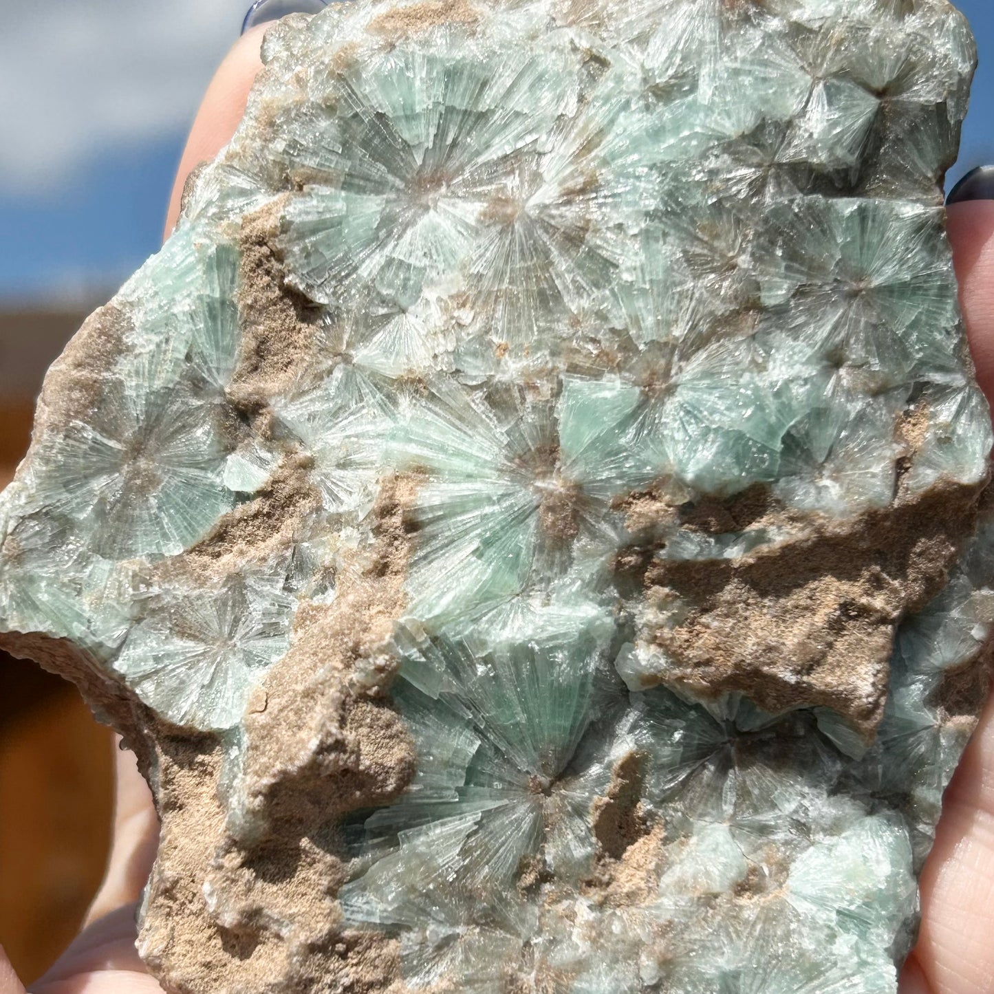 Green Star Aragonite Medium Specimen From Pakistan 🇵🇰