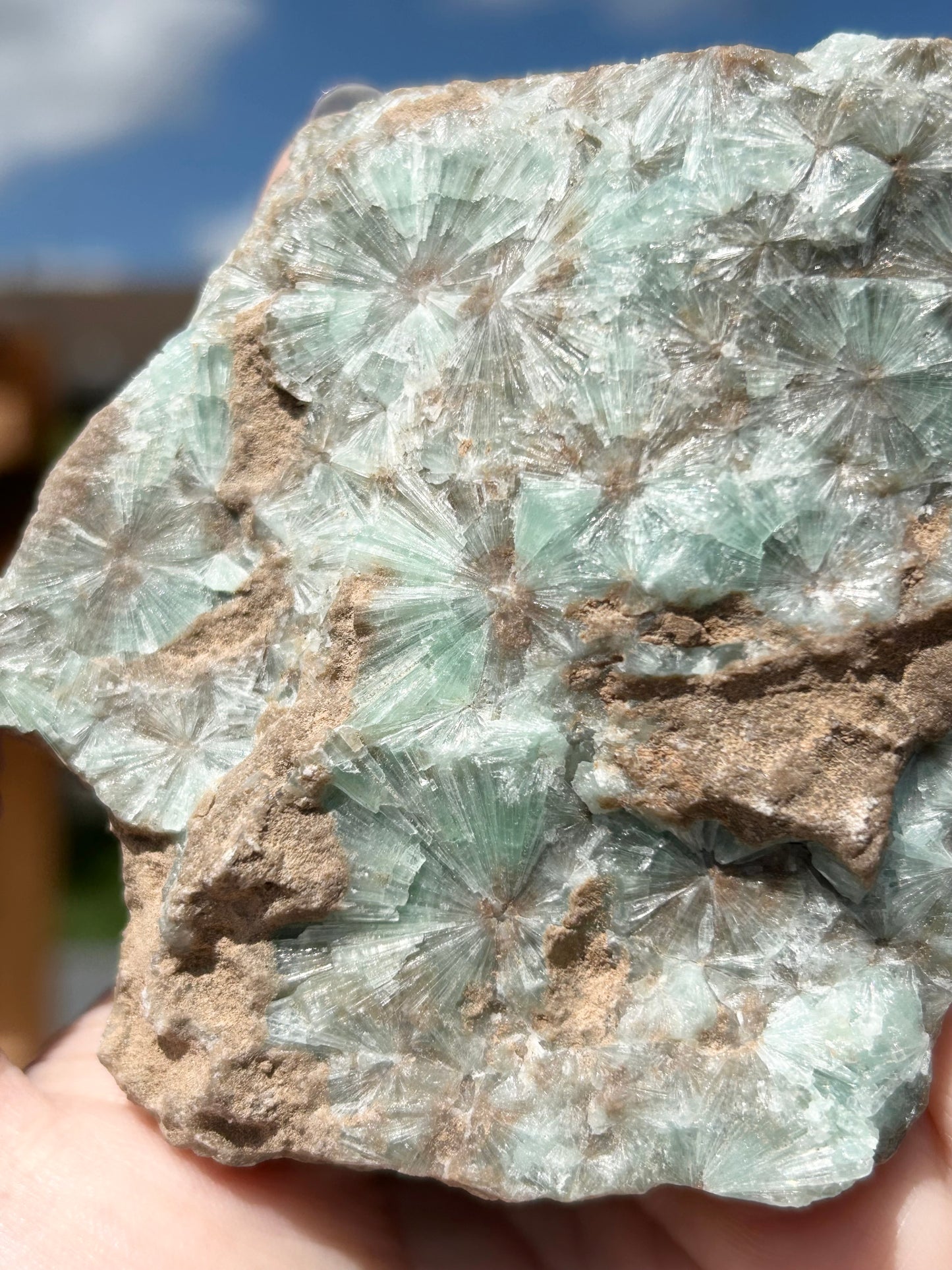 Green Star Aragonite Medium Specimen From Pakistan 🇵🇰