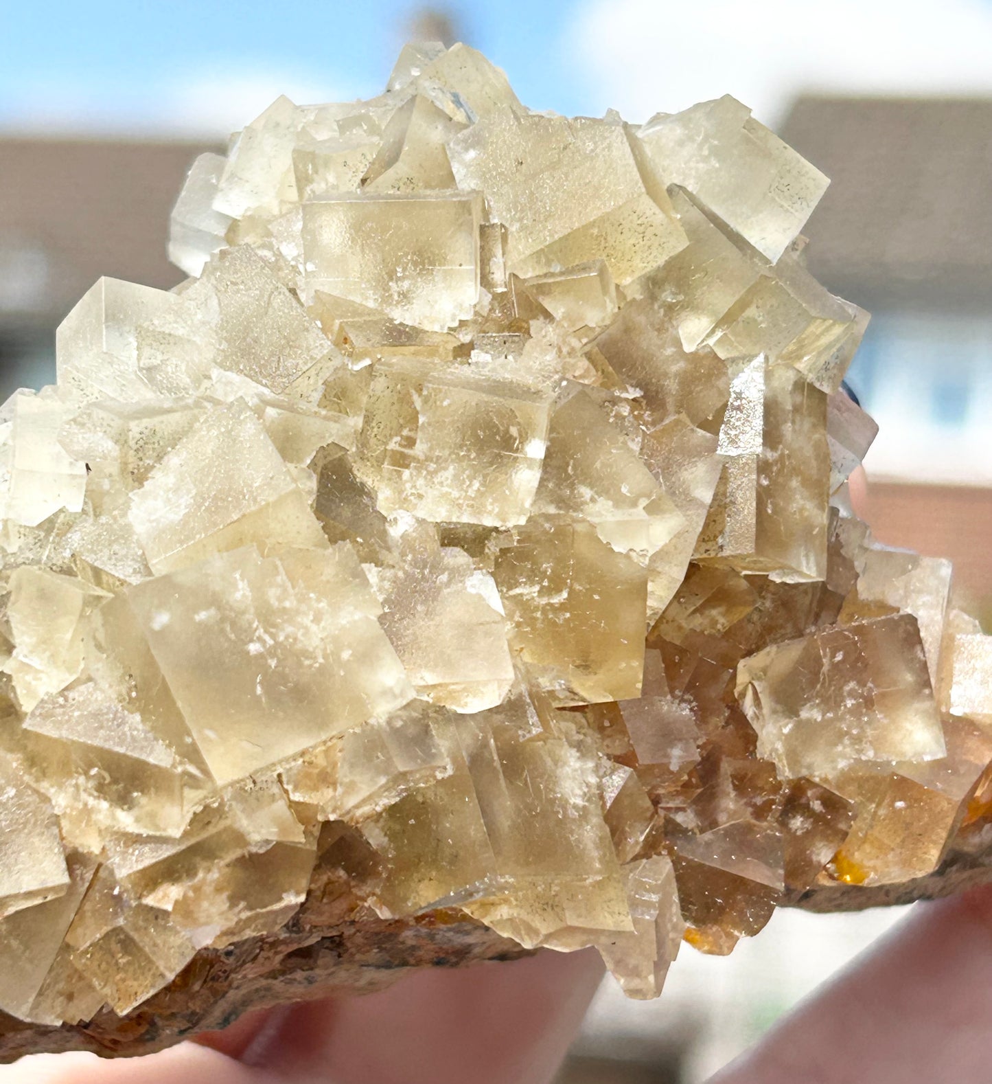 Murton Light Yellow Fluorite Large  From Murton Mine, Scredale, Cumbria, U.K. 🇬🇧 (Closed Mine, Independently Collected In 1990s)