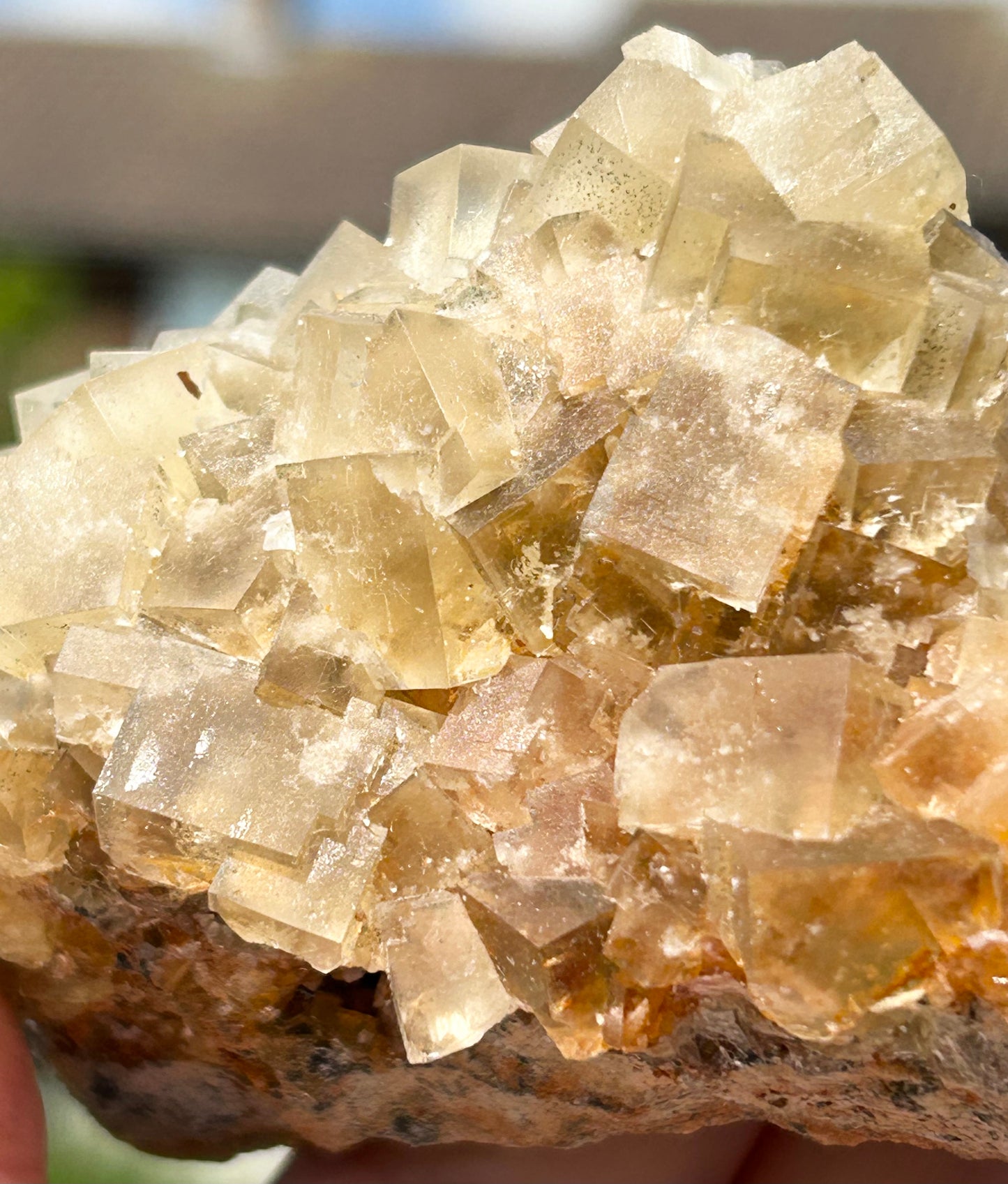 Murton Light Yellow Fluorite Large  From Murton Mine, Scredale, Cumbria, U.K. 🇬🇧 (Closed Mine, Independently Collected In 1990s)