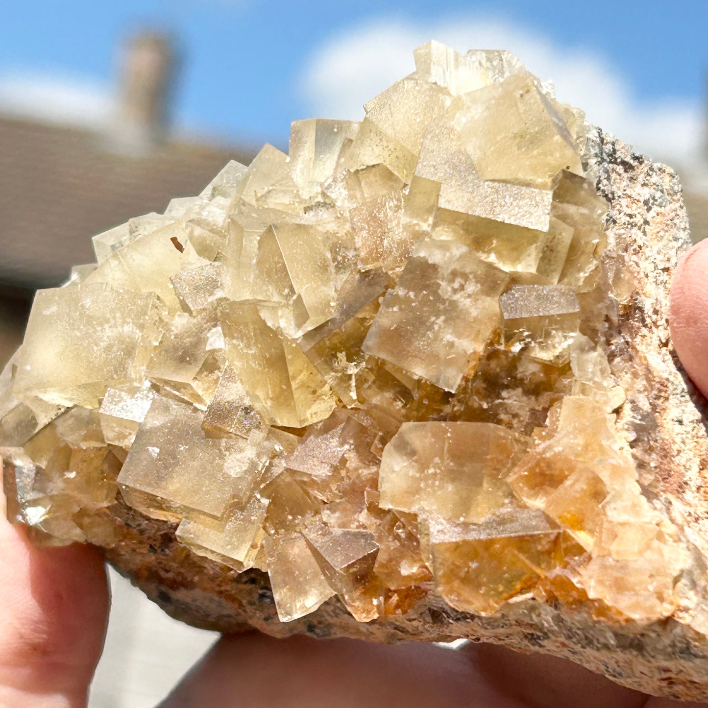 Murton Light Yellow Fluorite Large  From Murton Mine, Scredale, Cumbria, U.K. 🇬🇧 (Closed Mine, Independently Collected In 1990s)