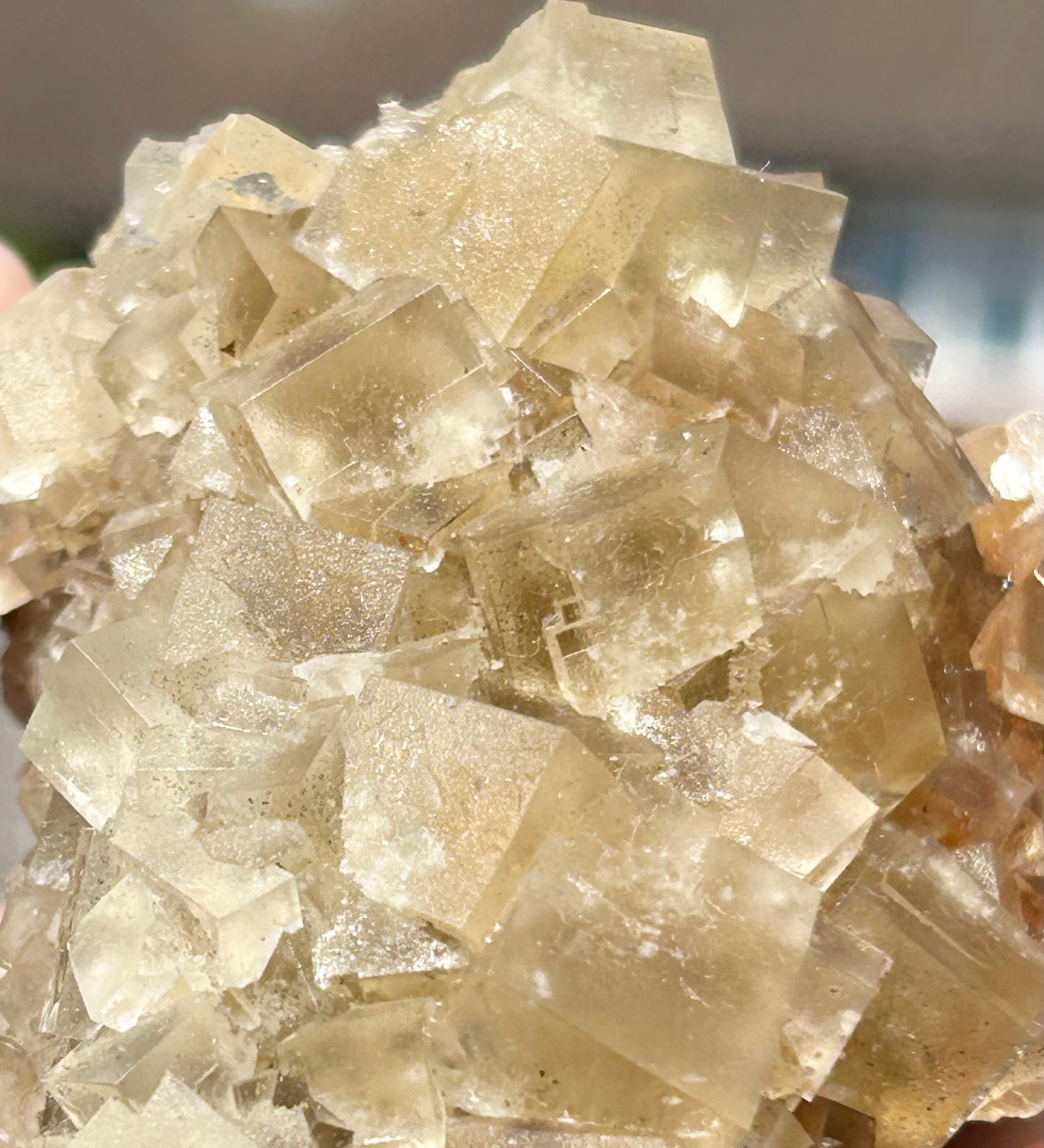 Murton Light Yellow Fluorite Large  From Murton Mine, Scredale, Cumbria, U.K. 🇬🇧 (Closed Mine, Independently Collected In 1990s)