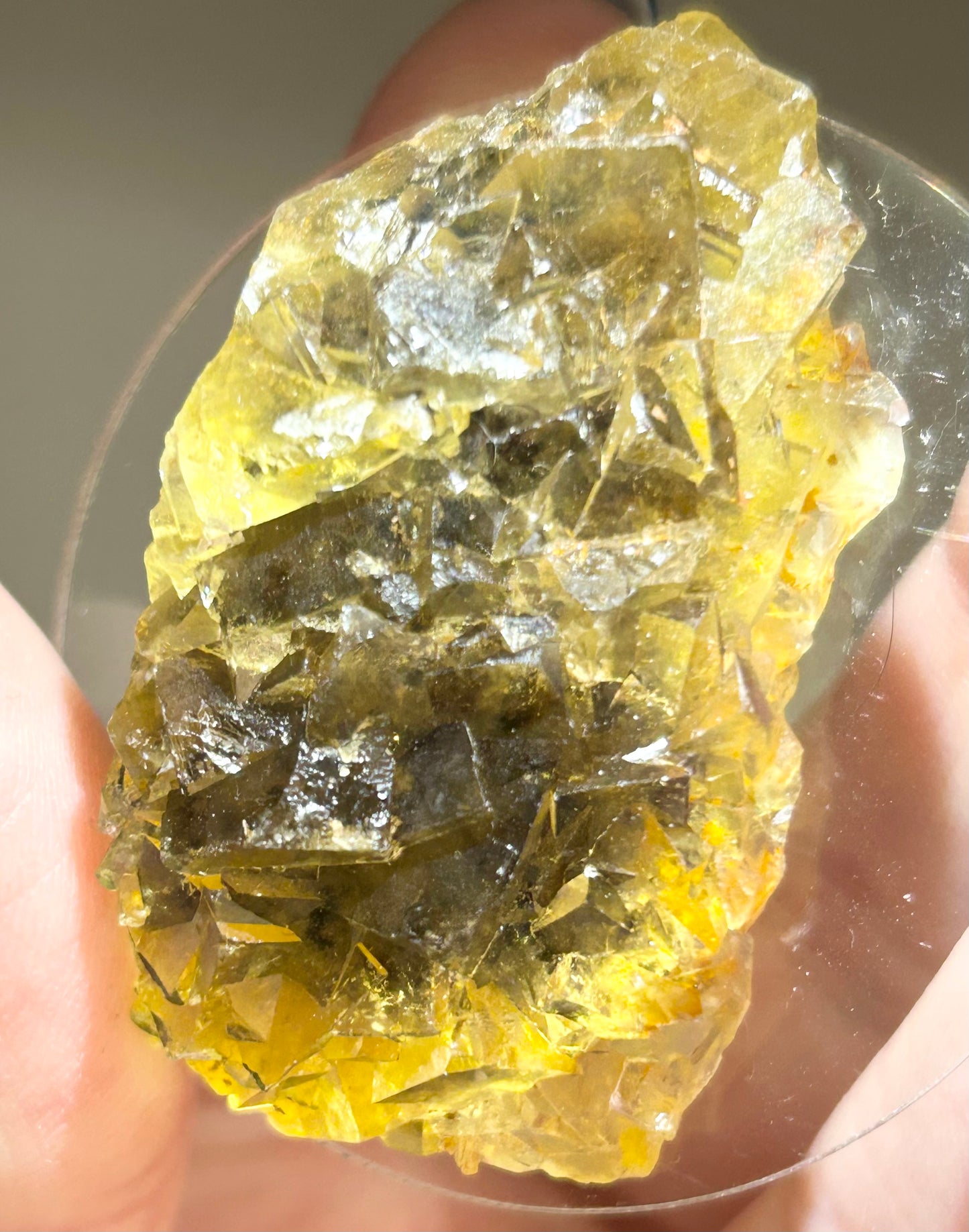 #5 Honey 🍯 Pocket Yellow Fluorite From Okorusu, Namibia 🇳🇦