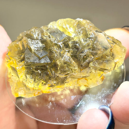 #5 Honey 🍯 Pocket Yellow Fluorite From Okorusu, Namibia 🇳🇦