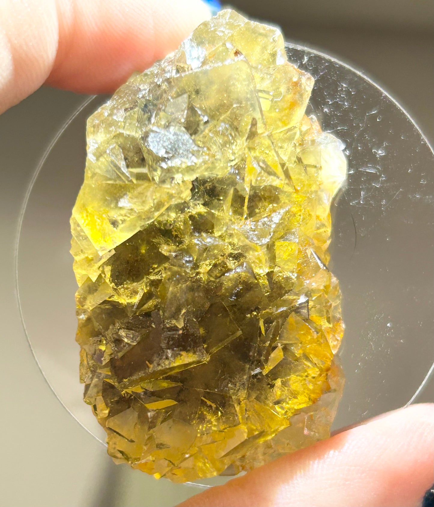 #5 Honey 🍯 Pocket Yellow Fluorite From Okorusu, Namibia 🇳🇦