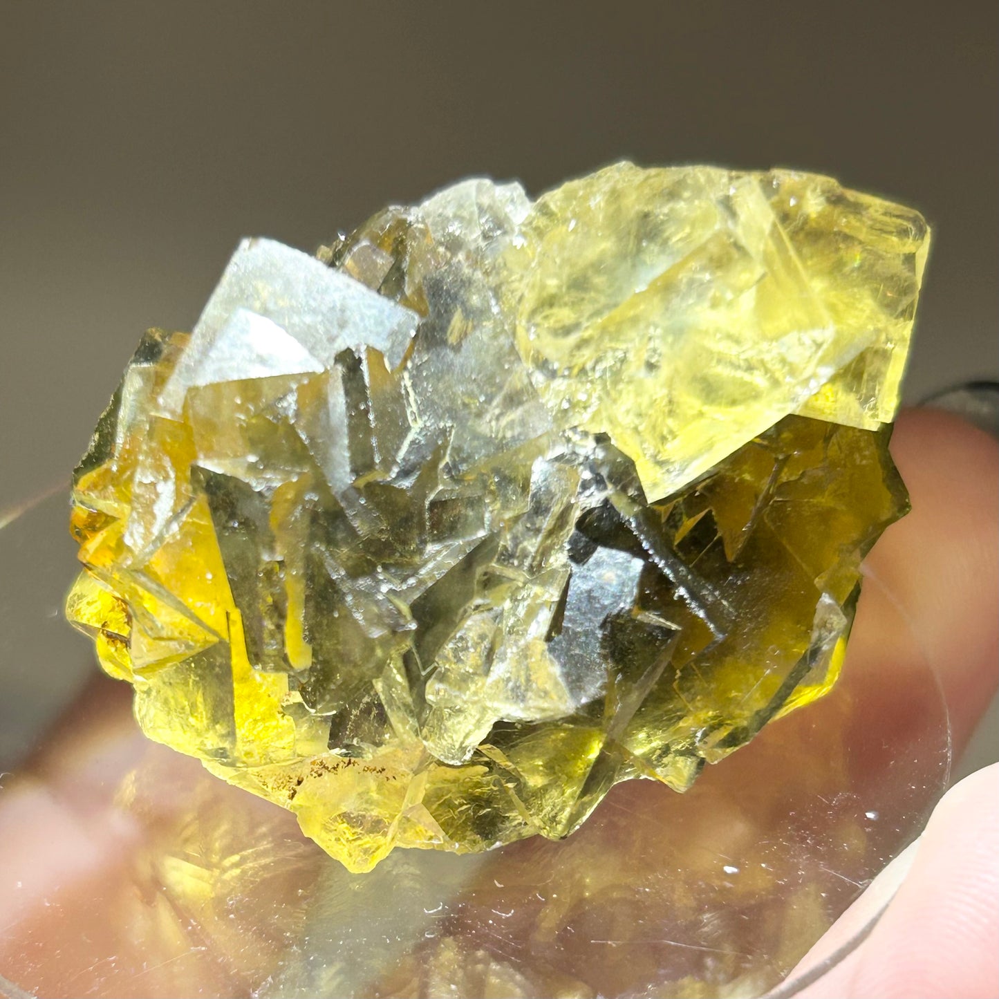 #6 Honey 🍯 Pocket Yellow Fluorite From Okorusu, Namibia 🇳🇦