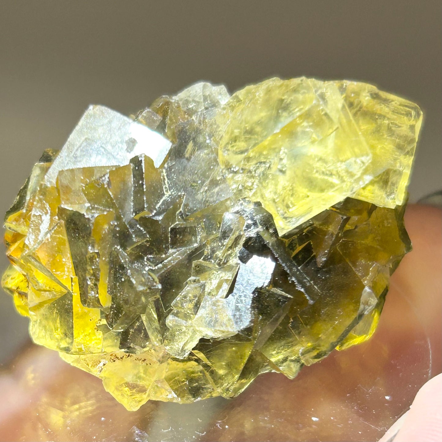 #6 Honey 🍯 Pocket Yellow Fluorite From Okorusu, Namibia 🇳🇦