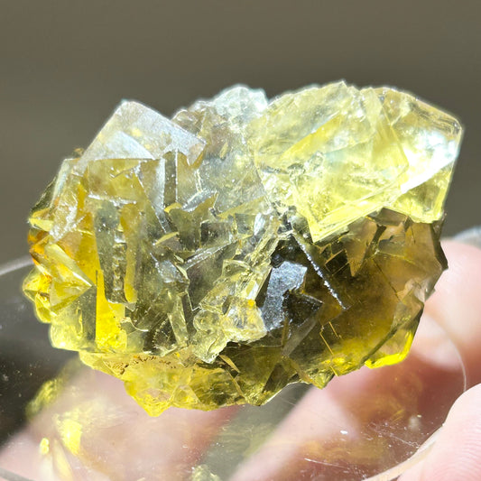 #6 Honey 🍯 Pocket Yellow Fluorite From Okorusu, Namibia 🇳🇦