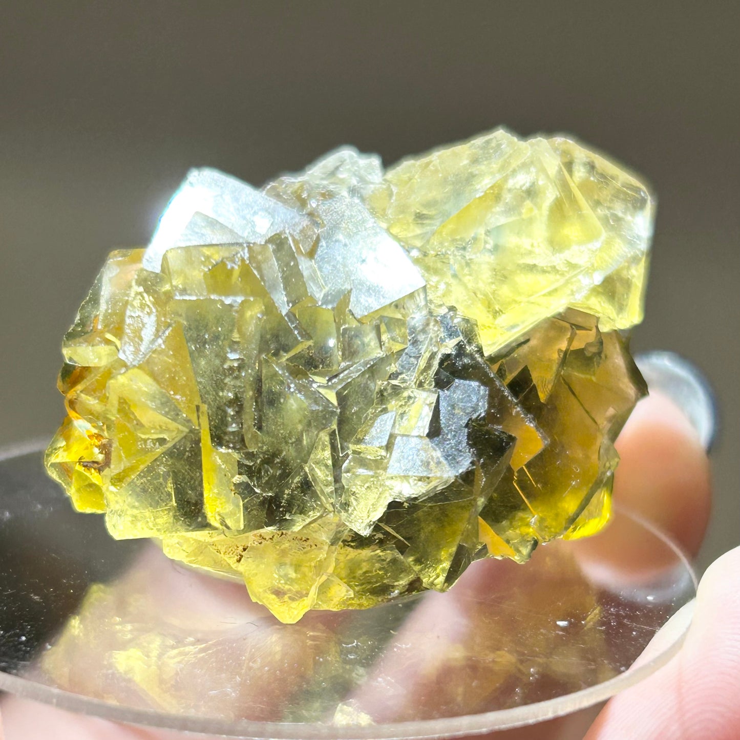 #6 Honey 🍯 Pocket Yellow Fluorite From Okorusu, Namibia 🇳🇦