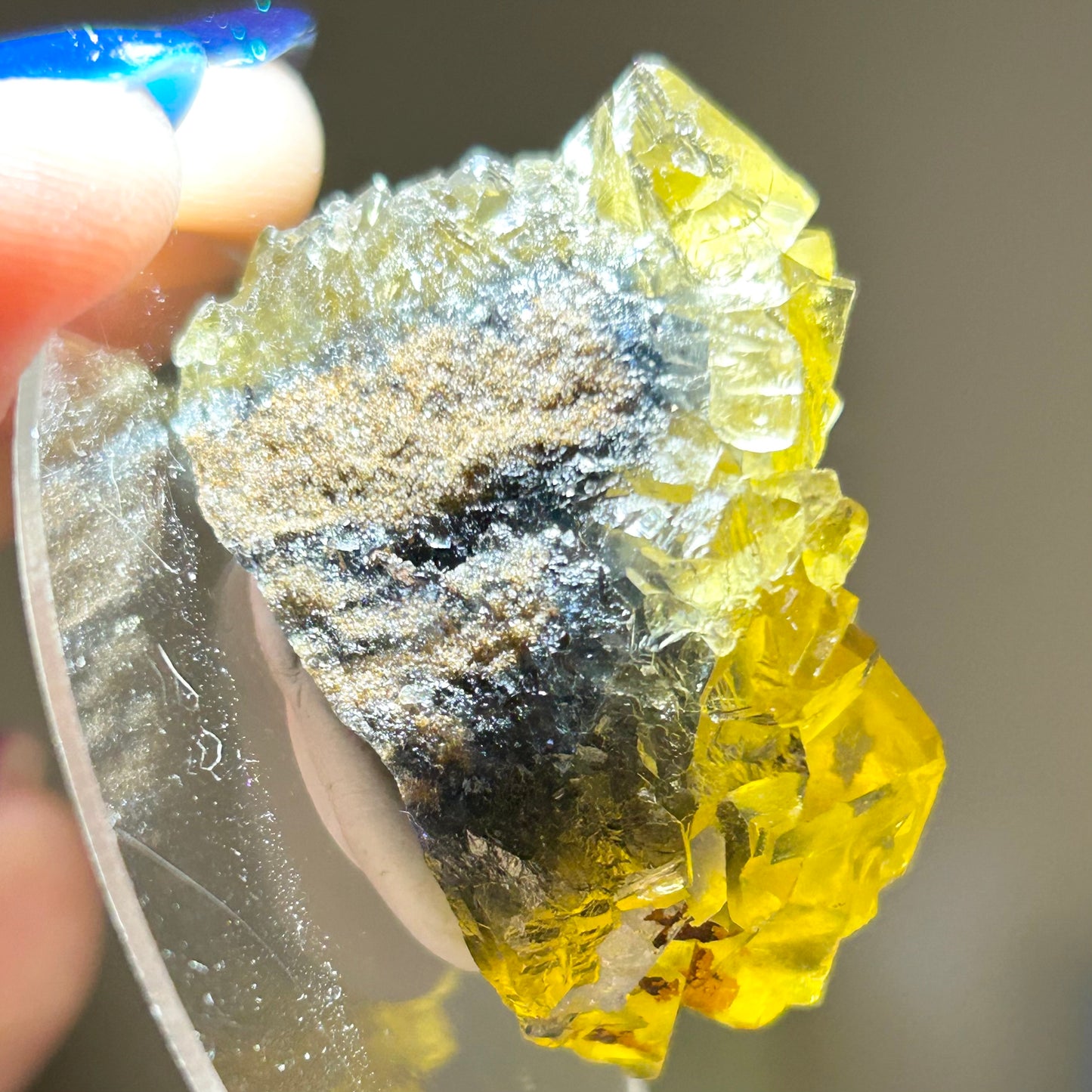 #6 Honey 🍯 Pocket Yellow Fluorite From Okorusu, Namibia 🇳🇦