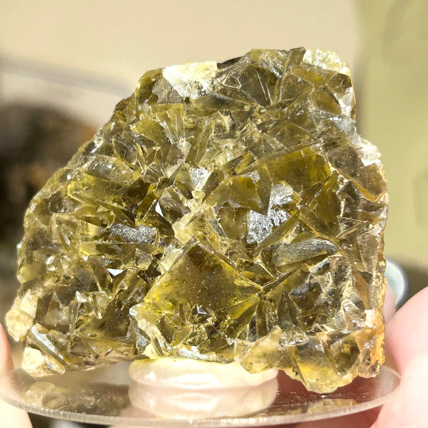 #7 Honey 🍯 Pocket Yellow Fluorite From Okorusu, Namibia 🇳🇦