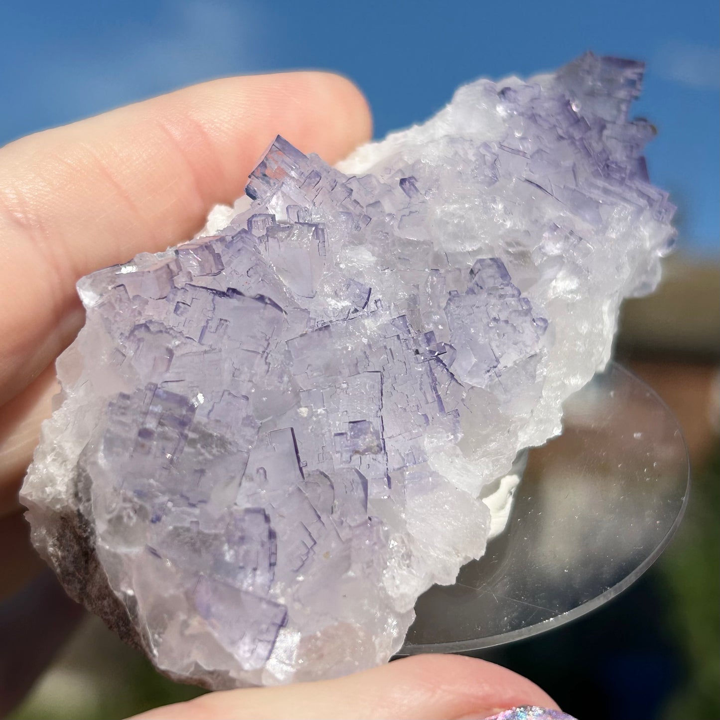 #9 Tule Purple Step Fluorite From Tule Mine, Melchor Múzquiz, Múzquiz Municipality, Coahuila, México 🇲🇽